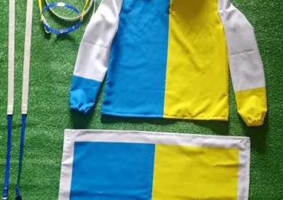 Guarnicioneria Juani