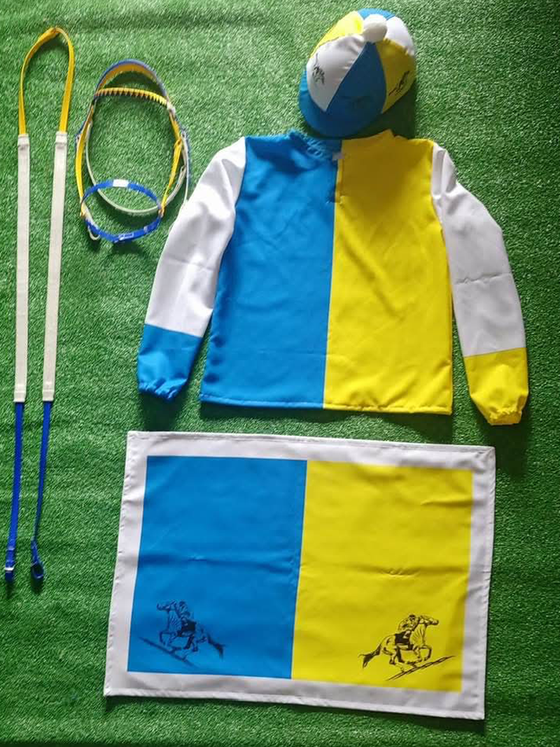 Guarnicioneria Juani