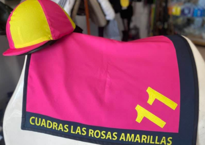 Guarnicioneria Juani