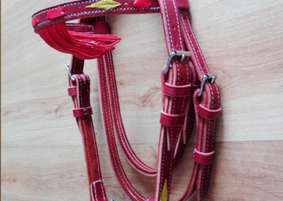 Guarnicioneria Juani