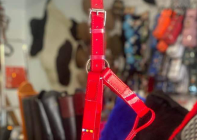 Guarnicioneria Juani