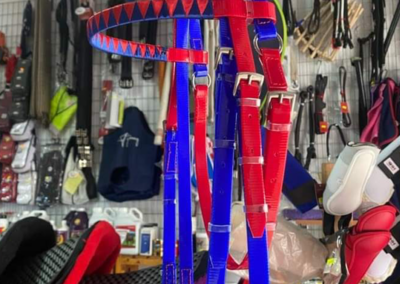 Guarnicioneria Juani