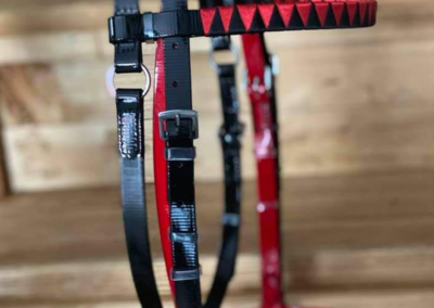 Guarnicioneria Juani