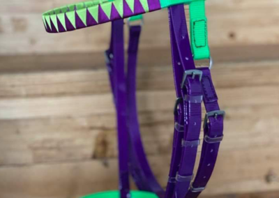 Guarnicioneria Juani