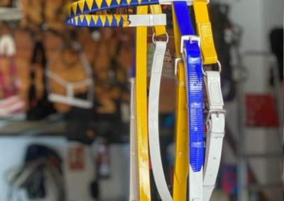 Guarnicioneria Juani