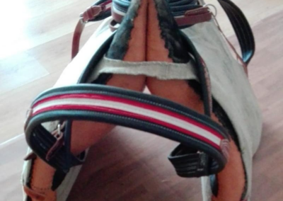 Guarnicioneria Juani